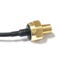 Available Low Cost Liquid Level Pressure Sensor 1MPa Cable Outlet